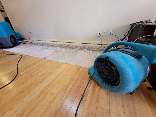 Professional Basement Flood Cleanup technician working in Mont Clare, PA